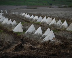 "Будут ошибки": генерал рассказал об угрозе для ВСУ из-за "линий Суровикина" (видео)