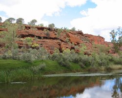 Найдавніша річка у світі існує сотні мільйонів років: її води бачили ще динозаврів