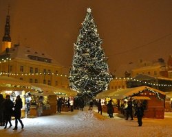 В столице Эстонии упала главная рождественская ель