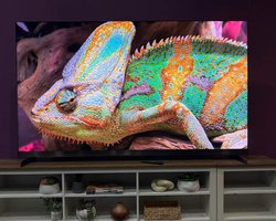 Який Mini LED телевізор обрати: експерт порівняв TCL X11L та Hisense U8QG (фото)