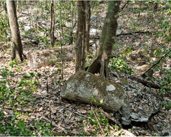 Мая ховали ці споруди у джунглях: що знайшли вчені за допомогою лазерного сканування (фото)