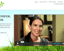 В США запускают бракоразводный онлайн-сервис