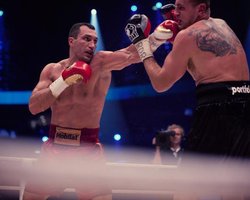  Владимир Кличко получил почти $7 миллионов за бой с поляком 