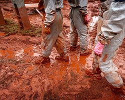 МЧС: Яд из Венгрии попадет в Украину через две недели 