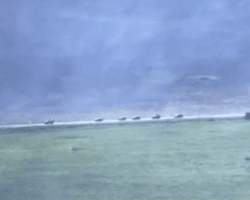 "Створюють смугу безпеки": в ГУР вперше прокоментували події в Бєлгородській області