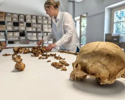 Все було не так: падіння Західної Римської імперії змінило Європу неочікуваним чином (фото)