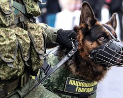 Людей в Москве и Подмосковье эвакуируют тысячами