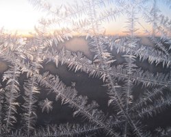 На Виннитчине родители выгнали 4-летнюю дочь на мороз