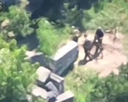 На Херсонщине полицейские и теробороновцы "поймали" минометчиков ВС РФ (видео)