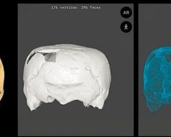 Археологи виявили 1400-річний людський череп у формі куба: такого ще не бачили (фото)