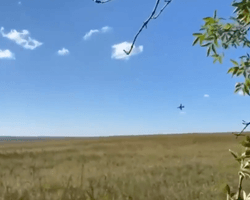 ВСУ под Балаклеей сбили российский Су-25 (видео)