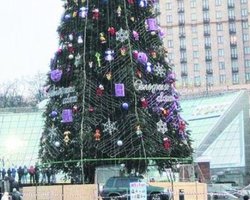 Главную елку Киева украсили тряпичными шарами