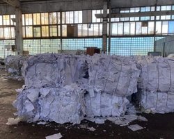 "Анкеты мог напечатать кто угодно", - "Слуга народа" о фото выброшенных анкет "опроса Зеленского"