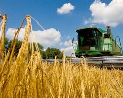 Атака беспилотников на Кремль спровоцировала рост цен на пшеницу, — Bloomberg