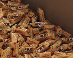 Онищенко прибывает в Киев для переговоров по Roshen