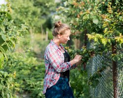 У сусідньому будинку чулися шуми: жінка зайшла всередину і не повірила очам (відео)