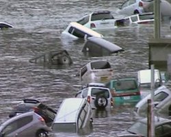 Toyota, Honda и Nissan остановили заводы в Японии