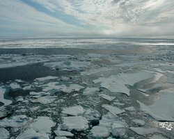 Арктика втрачає лід у рази швидше, ніж очікувалося: на катастрофу вказує космічний пил