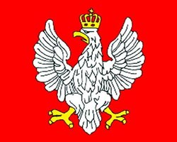 Выборы в Польше: разрыв между Коморовским и Качиньским 4,5%