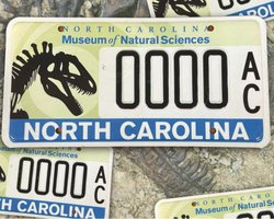 В США начали выдавать номера авто со скелетом динозавра (фото)