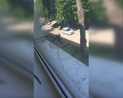 В Харькове женщины "отбили" у полиции объявленного в розыск ТЦК мужчину, — соцсети (видео)