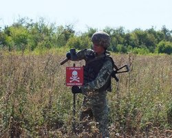 Участники ТКГ совместно с ОБСЕ проведут инспекцию в районе Шумов