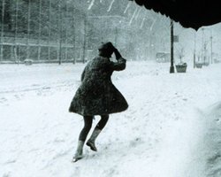 Жертвам погодных катаклизмов в Европе стали более 80 человек
