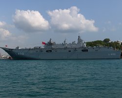 Турецкий флот и страховые гарантии: зерновой коридор возможен без РФ, — Зеленский (видео)