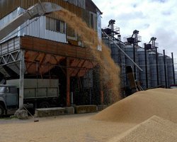 ЕС выплатит €100 млн компенсации фермерам, которых затронул экспорт зерна из Украины