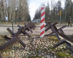 Тянут стремянки и "вооружились" ножницами по металлу: границу Польши штурмуют нелегалы (видео)