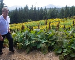 Ющенко: на Говерлу поднимаются не туристы, а патриоты