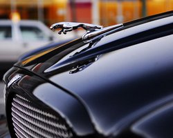 Jaguar переименует свои модели