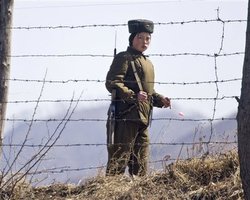 Китай пустил ток по колючей проволоке на границе с КНДР