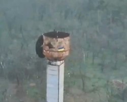 ЗСУ підняли прапор України в Кринках, поки в РФ брешуть про захоплення села (відео)