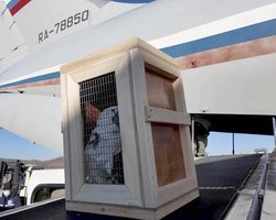 Какаду за солдат КНДР: Путин подарил Ким Чен Ыну более 70 животных из Московского зоопарка