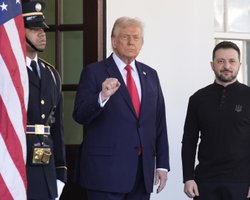 "Чихуахуа вредит более крупной собаке": Трамп поражен ударами СБУ по аэродромам РФ, — Axios