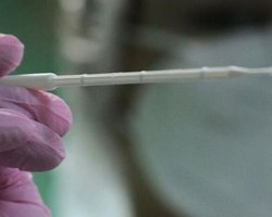 В Украине циркулируют пять штаммов коронавируса, – ЦОЗ