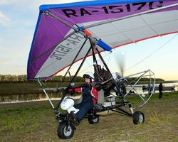 Пресс-секретарь опроверг причастность стерхов к травме Путина 