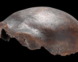 Череп невідомого гібрида людини виявився не тим, чим його вважали: що каже наука (фото)