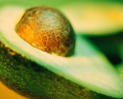 В Таиланде обнаружена бактерия E.coli в испанских авокадо