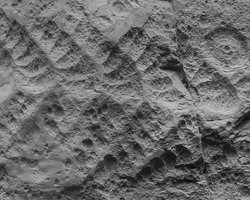 Перше велике вимирання на Землі було гіршим, ніж думали вчені: знайдено нові докази