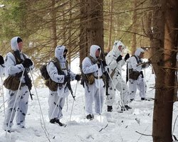 Расстреляли авто и заминировали дерево: появились кадры с места атаки "украинской ДРГ" в РФ