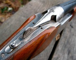 На Майдане заявили, что Беркут стрелял в протестующих из охотничьего ружья