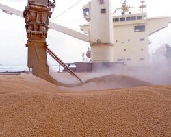 "Под чужим флагом": в США рассказали про возможные провокации Кремля с украинским зерном