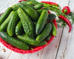 Эксперт посоветовал водителям возить в авто зимой свежий огурец — для чего он нужен