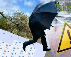 Холод, шквалы и ливни: когда в Украину наконец-то вернется весеннее тепло