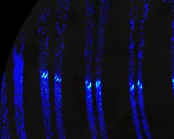 На крупнейшем спутнике в Солнечной системе обнаружено то, что есть на Земле (фото)