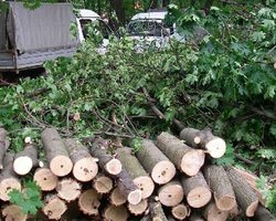 Харьковские защитники парка Горького надеются на Януковича