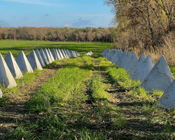 Строят "зубы дракона": ВС РФ перебрасывают ПВО и усиливают оборону Крыма, — подполье (видео)