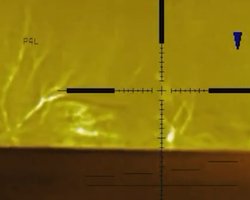 "Поновлюють щоденну статистику втрат": снайпери ССО знищили ворога на Херсонщині (відео)